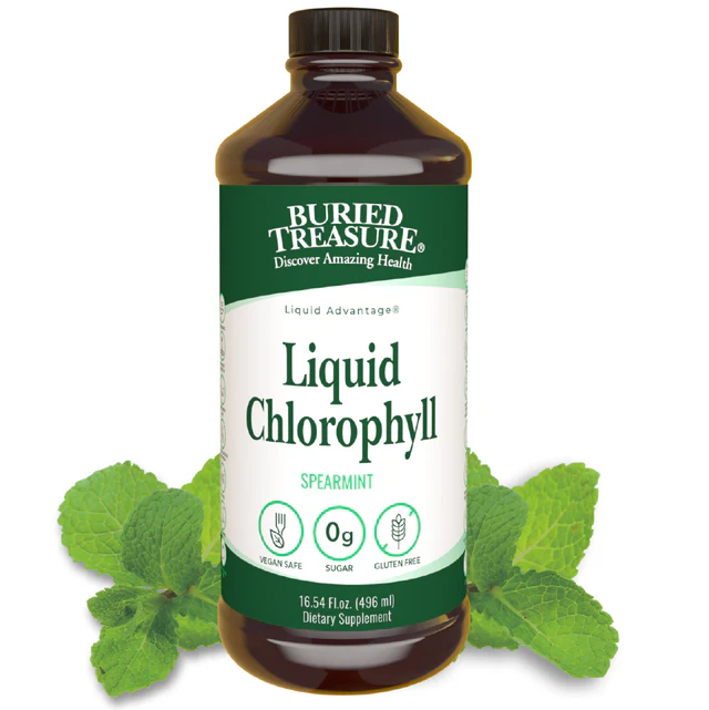 [50019] Buried Treasure Liquid Chlorophyll – 100 mg