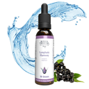 Lymphatic Harmony Drops - 30 Servings, Supports Immune Health